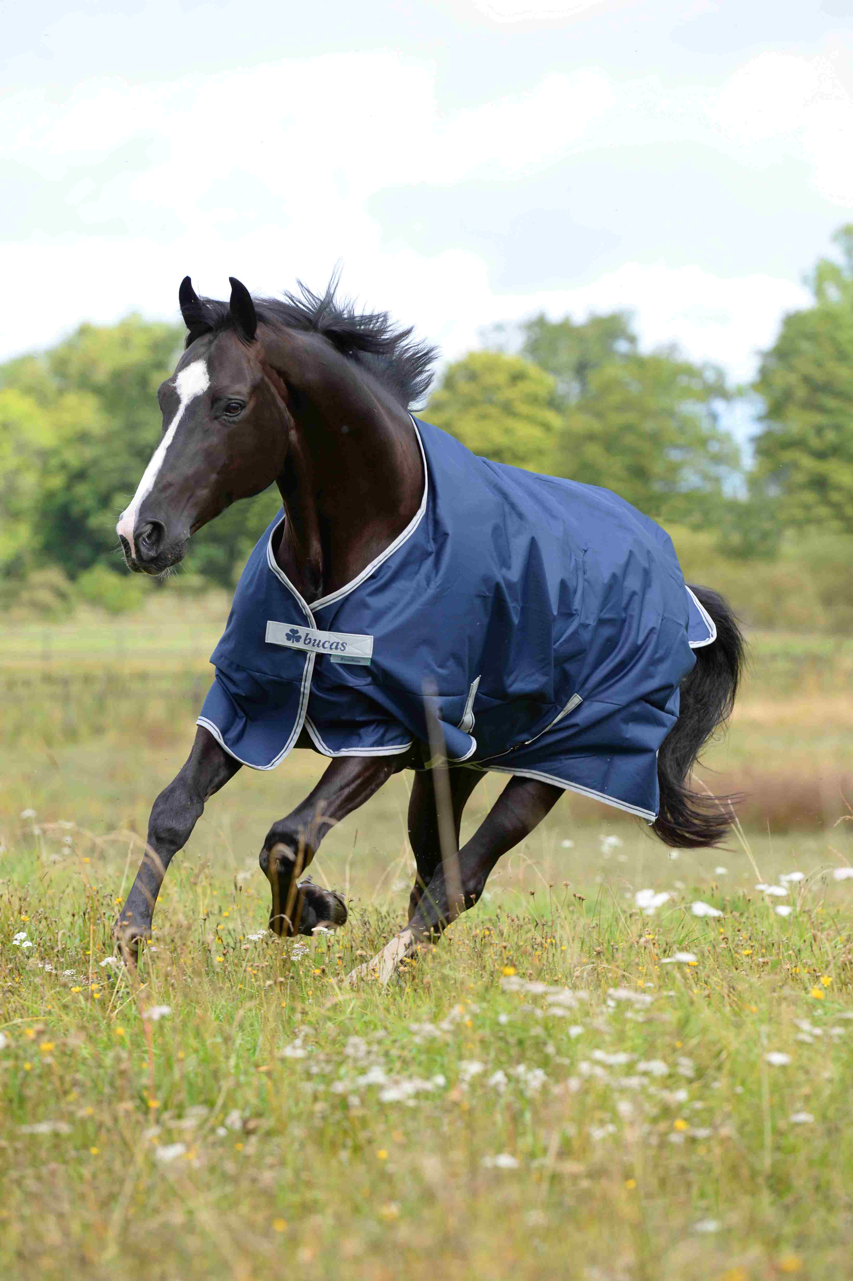 Bucas Pony Weidedecke Freedom Turnout Light 0 g