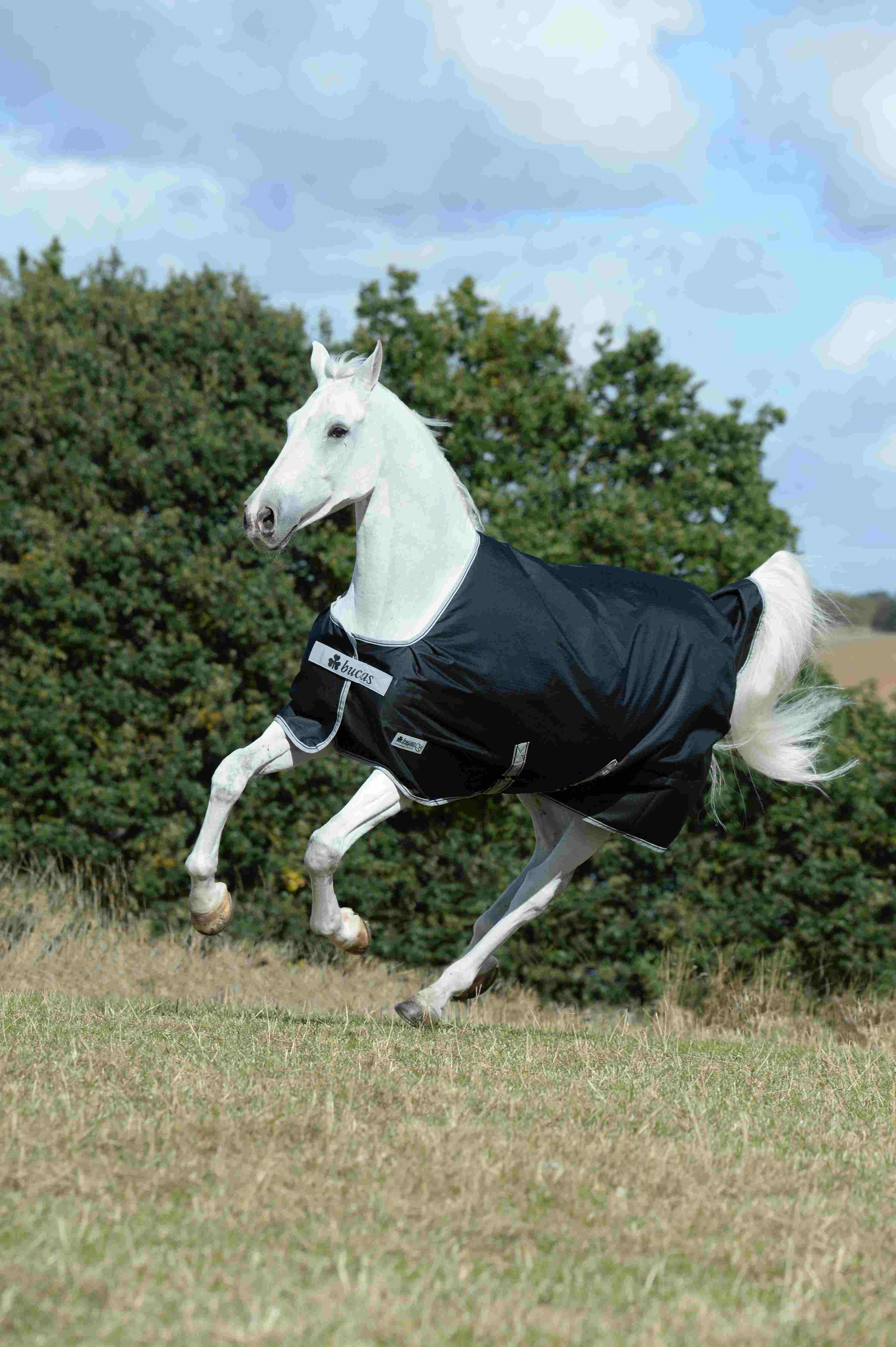 Bucas Weidedecke 200g Anniversary Turnout SF, schwarz-silber