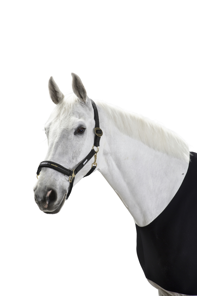 Eskadron Halfter black