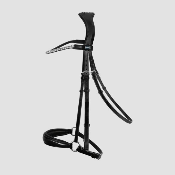 Passier Trense Favorite by Klimke hann RH Lack, schwarz
