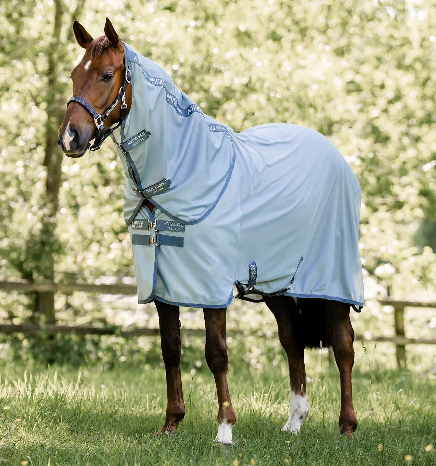 Horseware Fliegendecke Amigo Bug Rug Plus