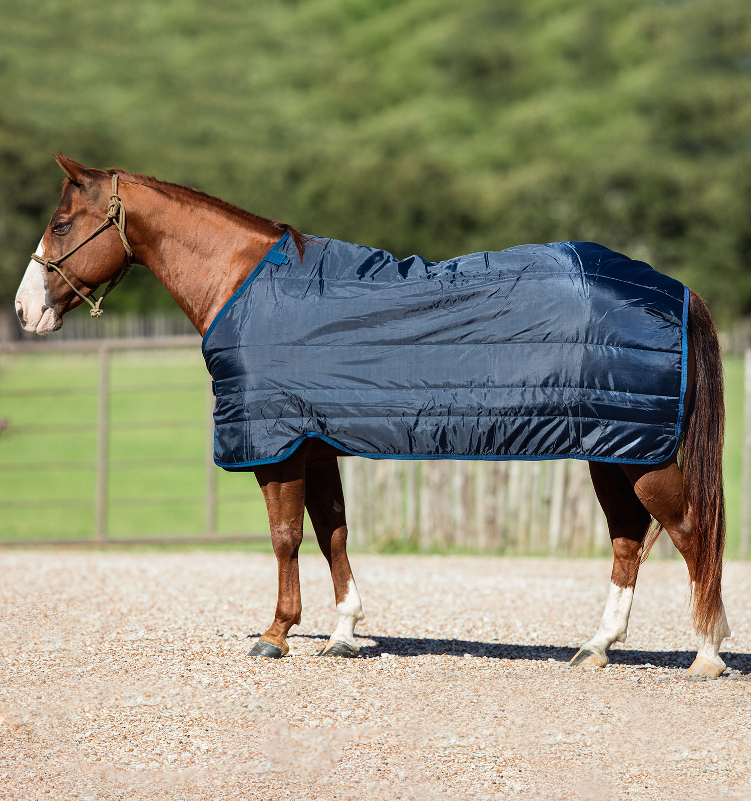 Horseware Liner 50g, navy