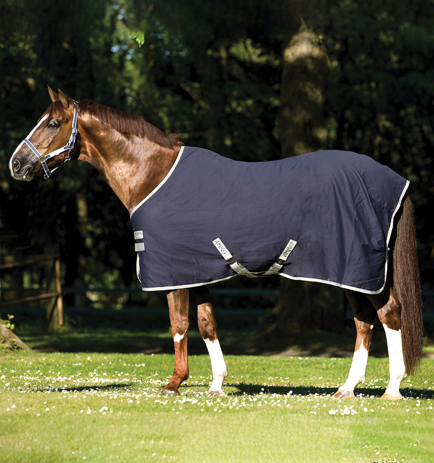 Horseware Stalldecke Amigo Stable Sheet, navy-silver