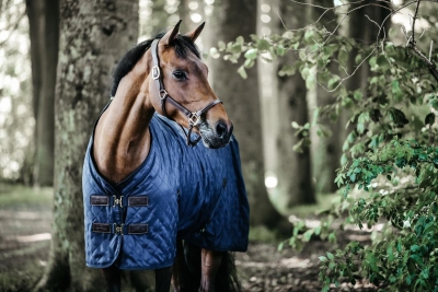 Kentucky Stalldecke 0gr