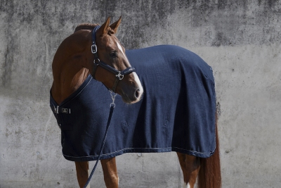 Eskadron Abschwitzdecke Fleece Stamped 22 Platinum