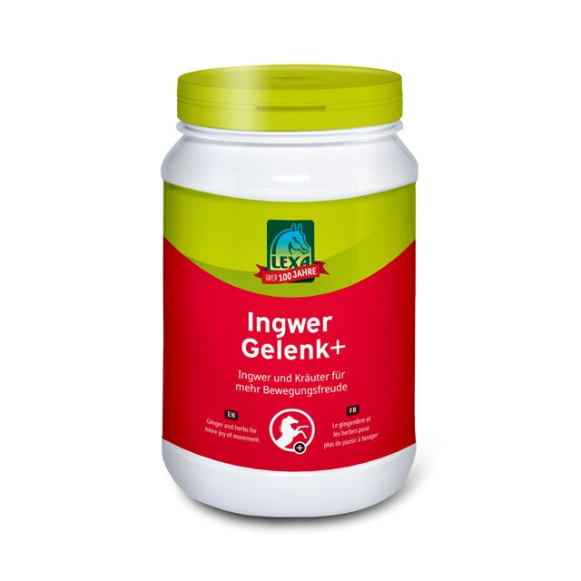 Lexa Ingwer Gelenk+ 1kg