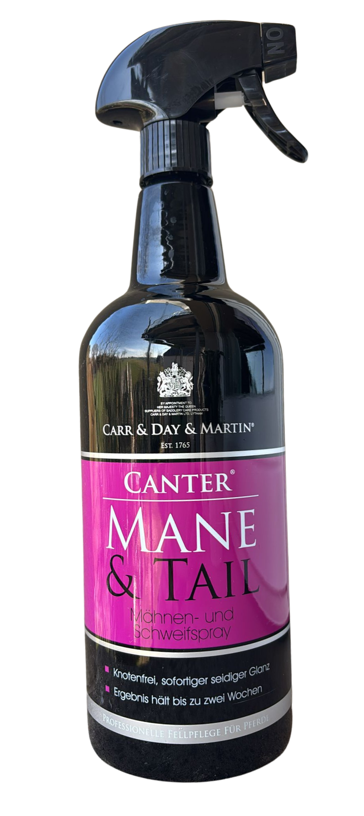 Canter Mane & Tail