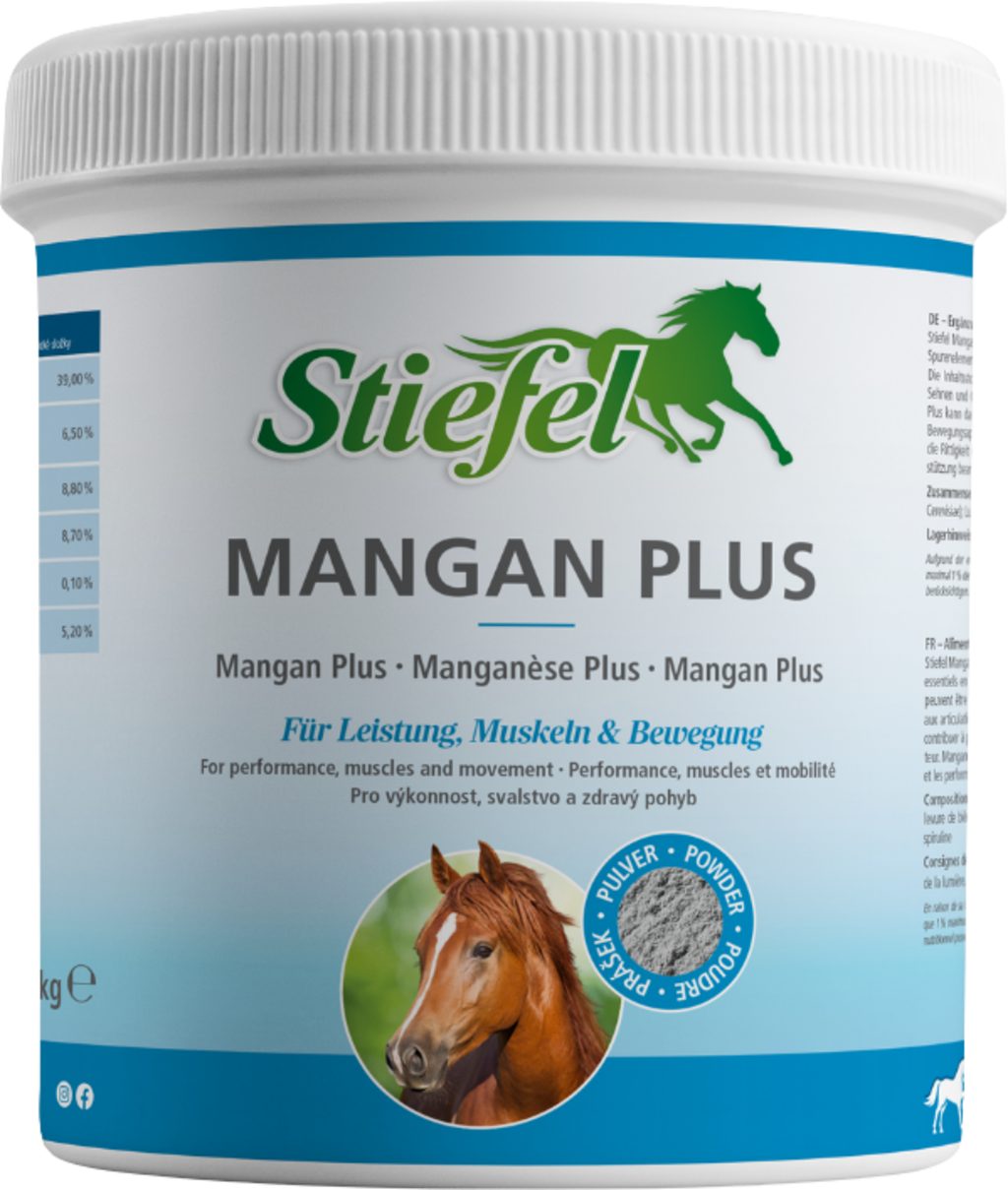 Stiefel Mangan Plus 1 KG Stiefel