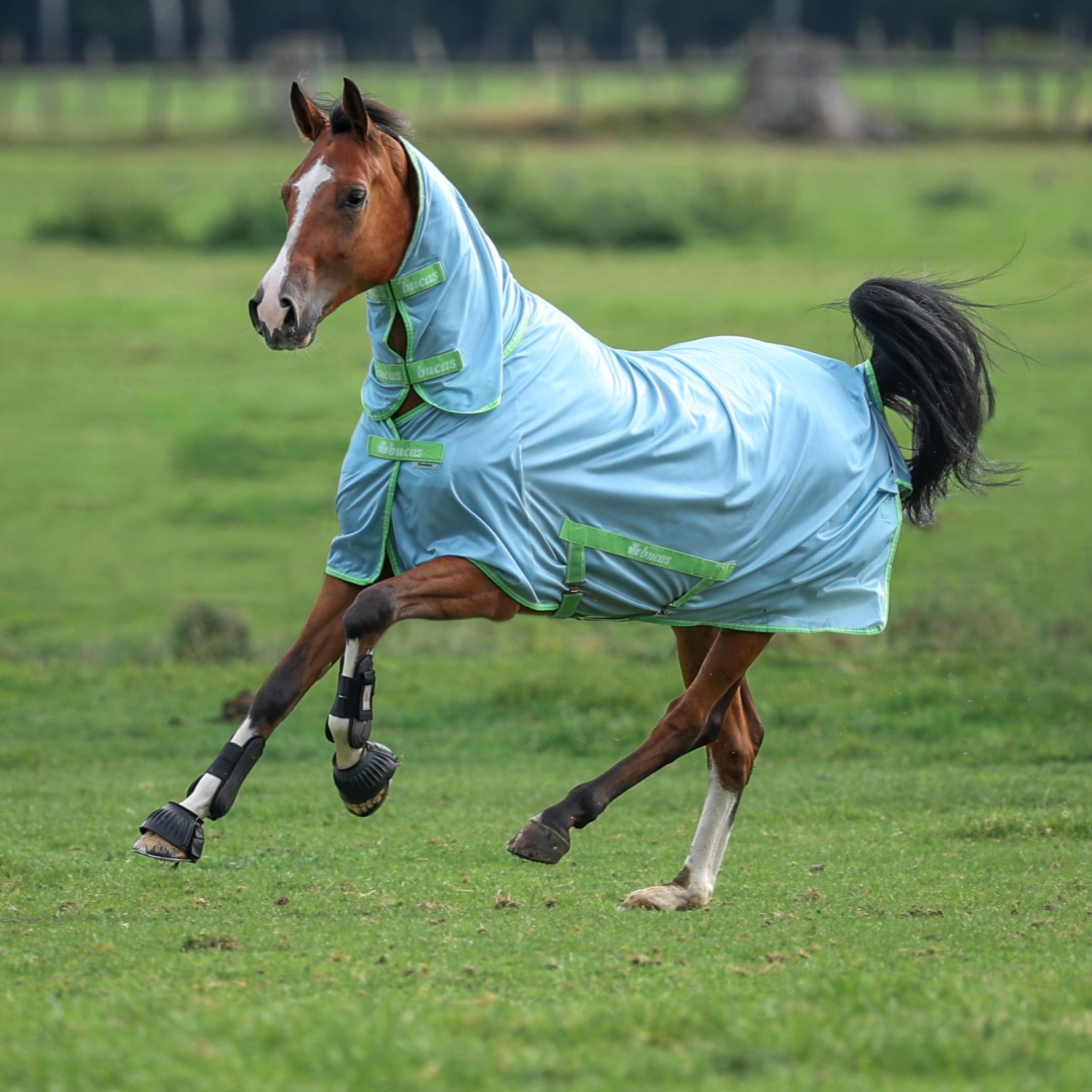 Bucas Fliegendecke Freedom Full Neck