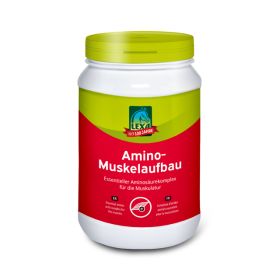 Lexa Amino Muskelaufbau 1,2 Kg