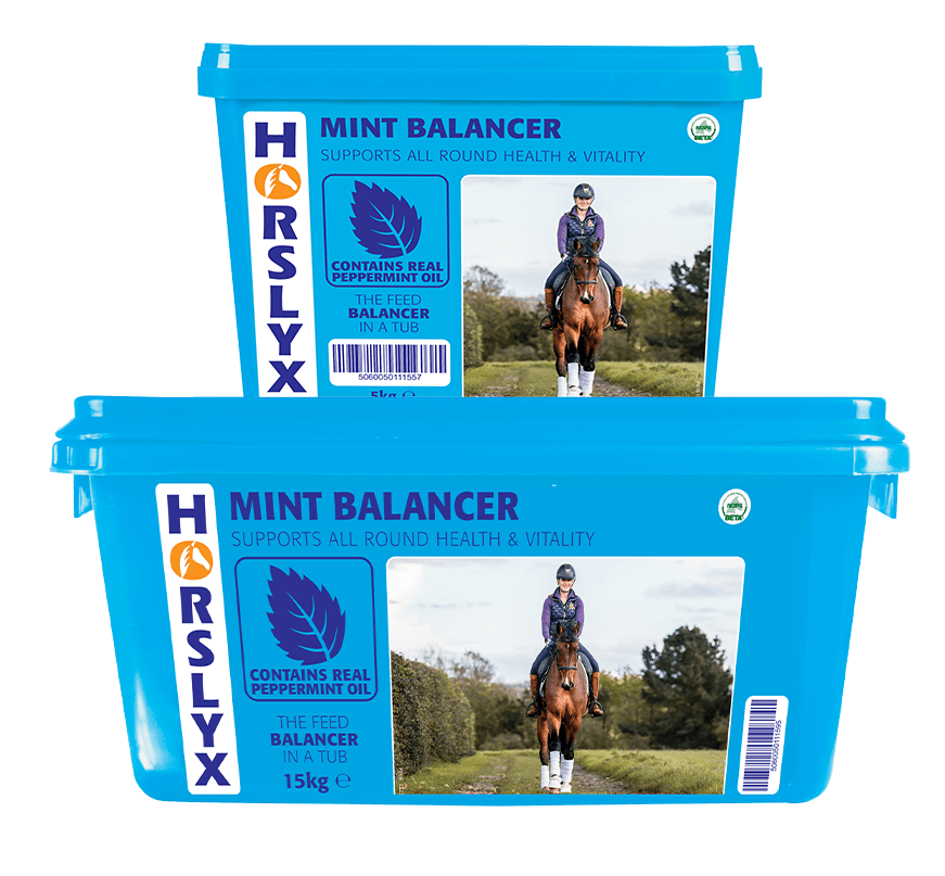 Derby Horslyx Mint 650g