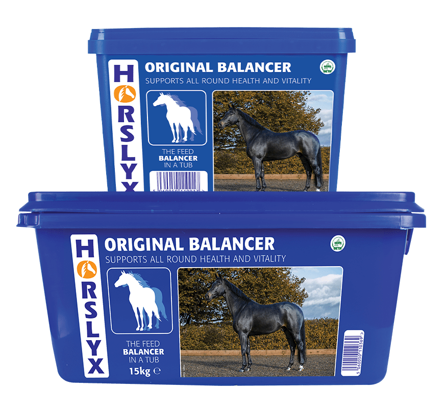 Derby Horslyx Original 650g
