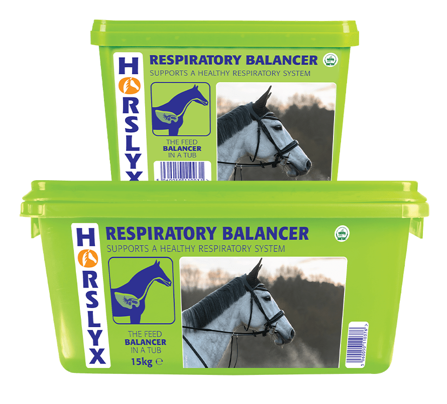 Derby Horslyx Respiratory 650g