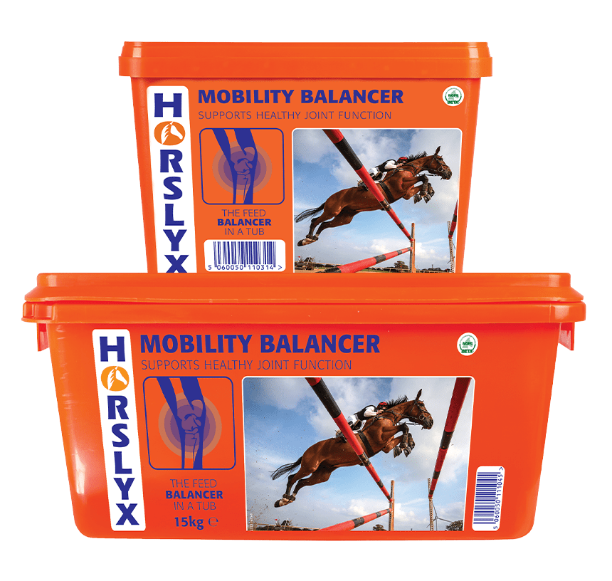 Derby Horslyx Mobility 650g