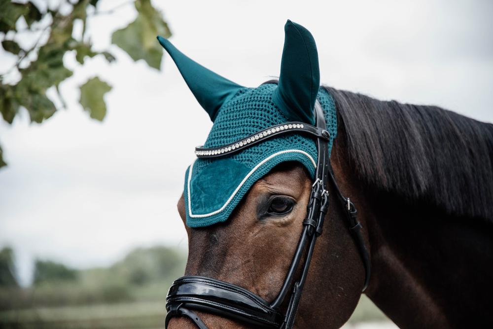 Kentucky Fliegenhaube Wellington Velvet
