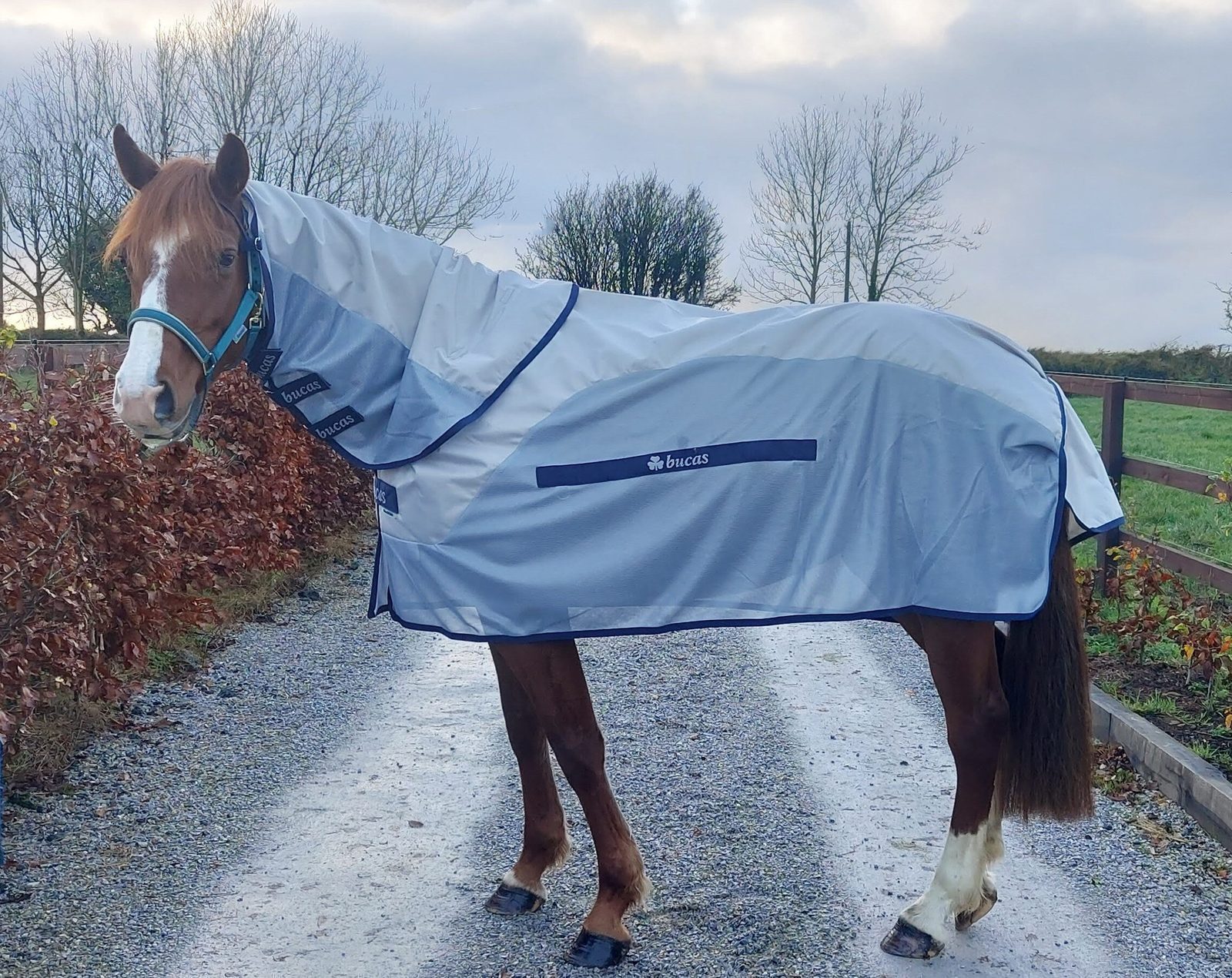 Bucas Regen-Fliegendecke Buzz Off Rain & Neck