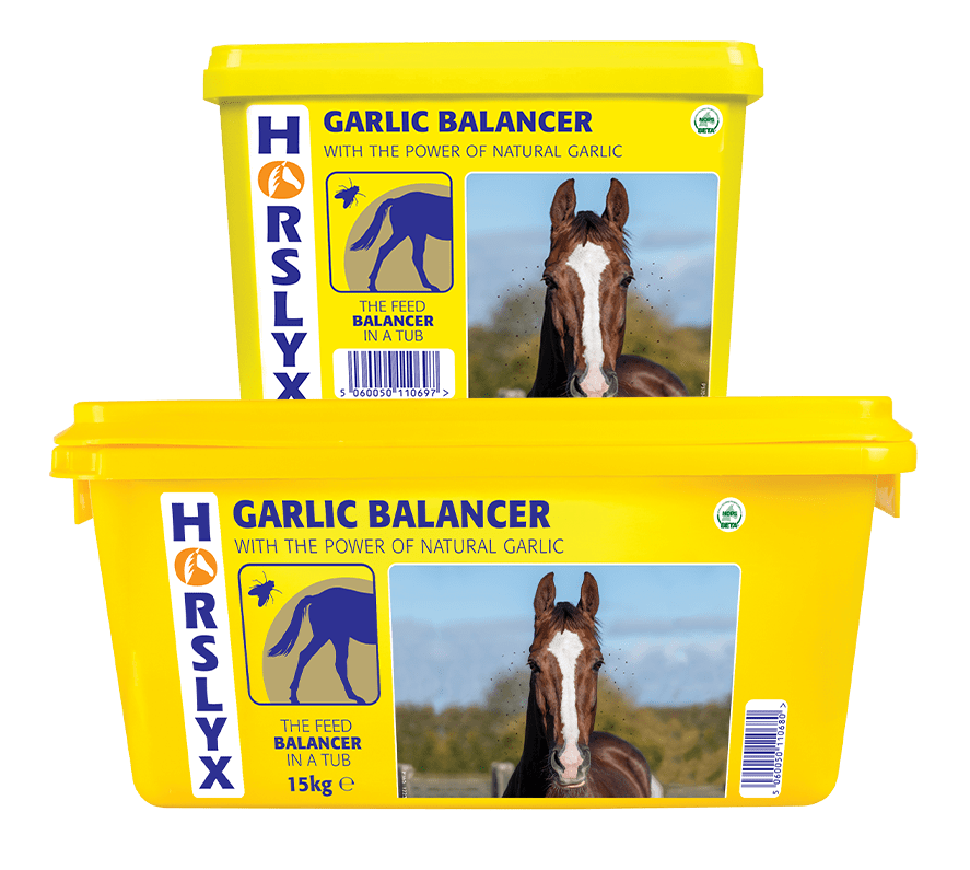 Derby Horslyx Garlic 650g