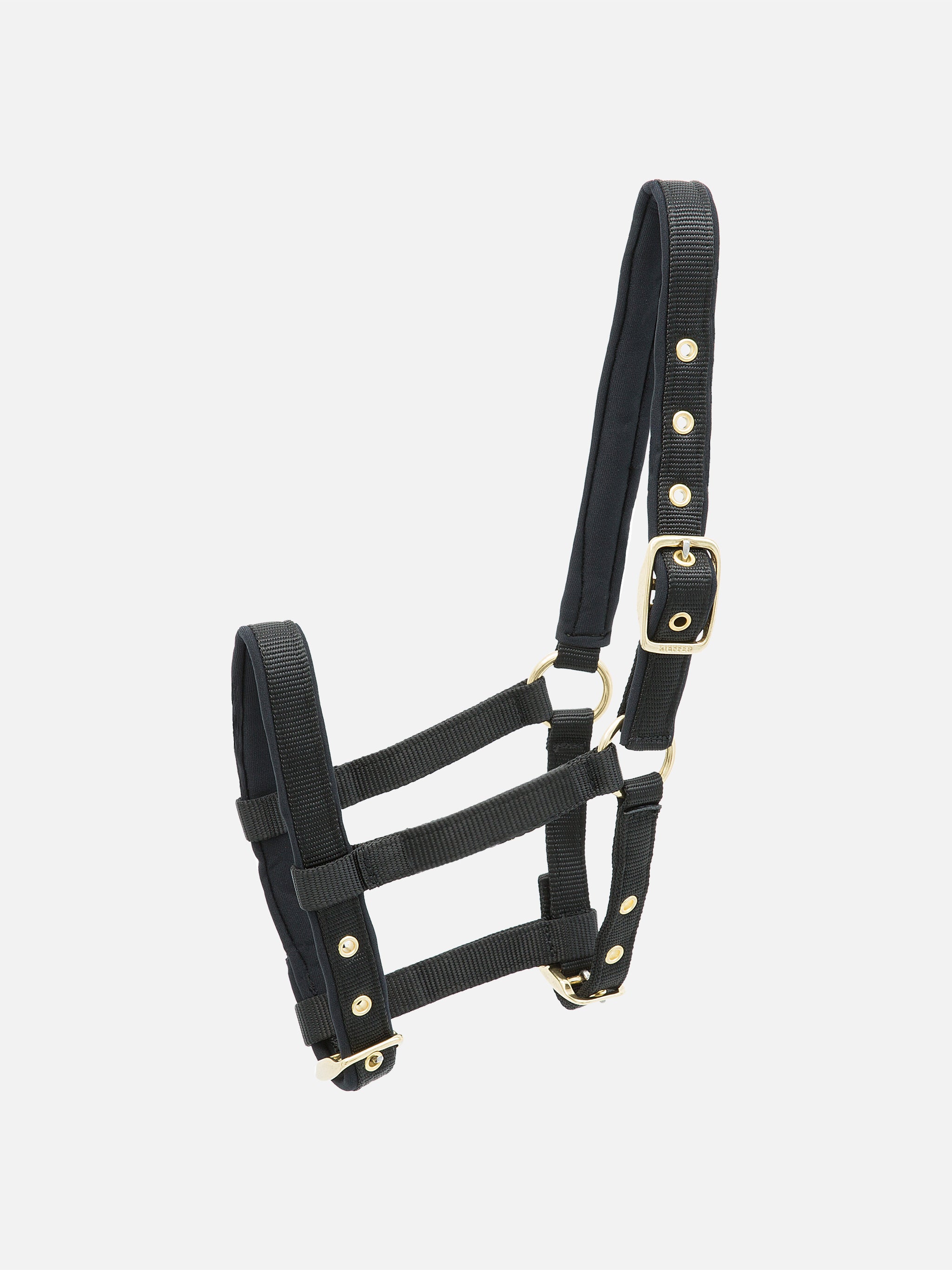 Kieffer Fohlenhalfter Classic Nylon