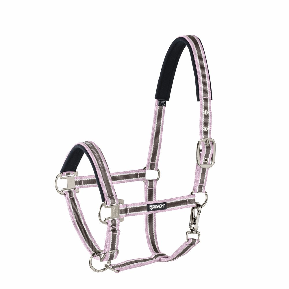 Eskadron Halfter Pin Buckle Basics almond-creme-po