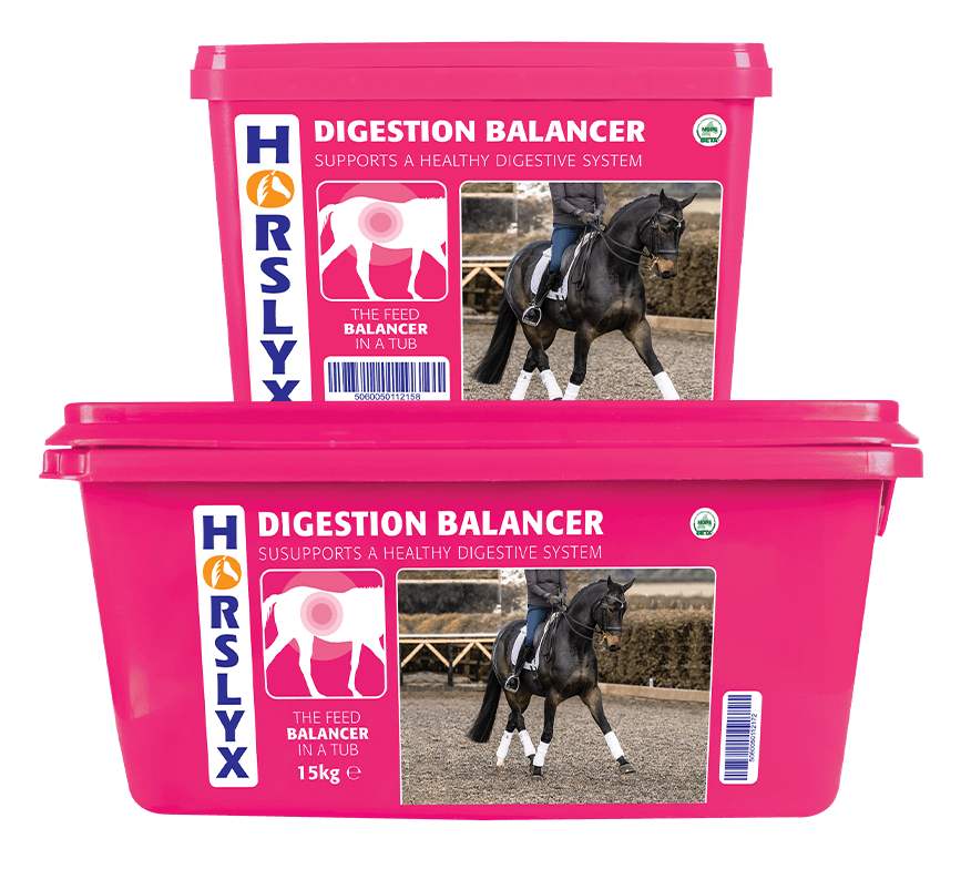 Derby Horslyx ProDigest 650g