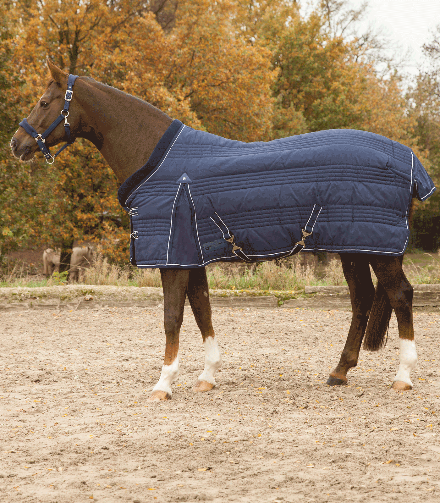 Waldhausen Stalldecke Comfort Line 100 g