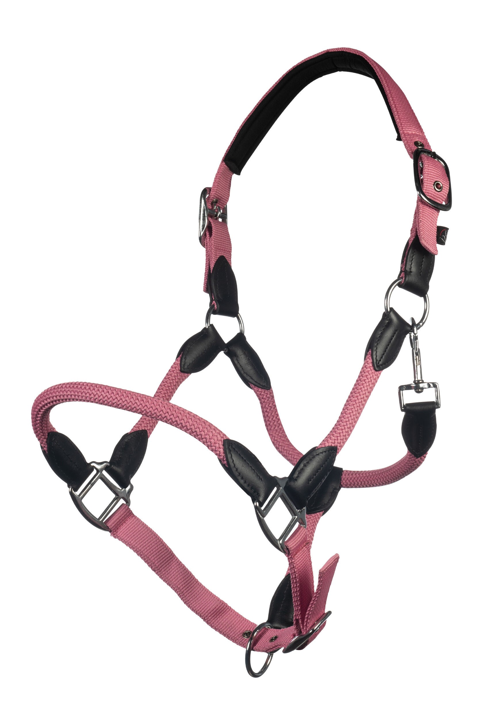 HKM Halfter Carlotta