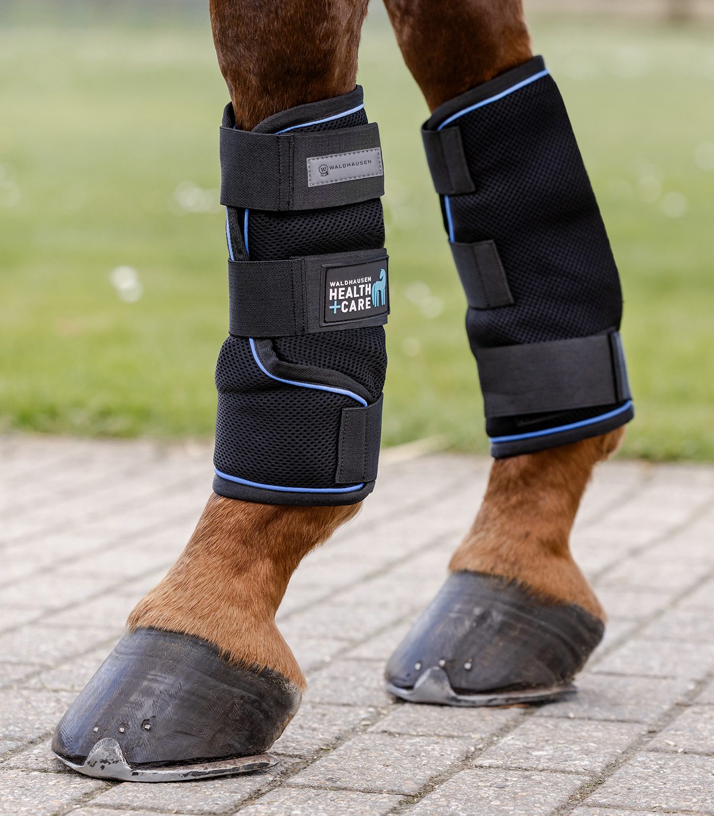 Waldhausen Heallth+Care Kühlgamasche