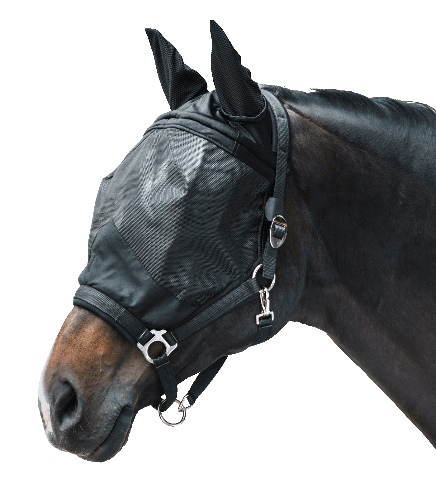 Waldhausen Fliegenmaske Premium + Halfter