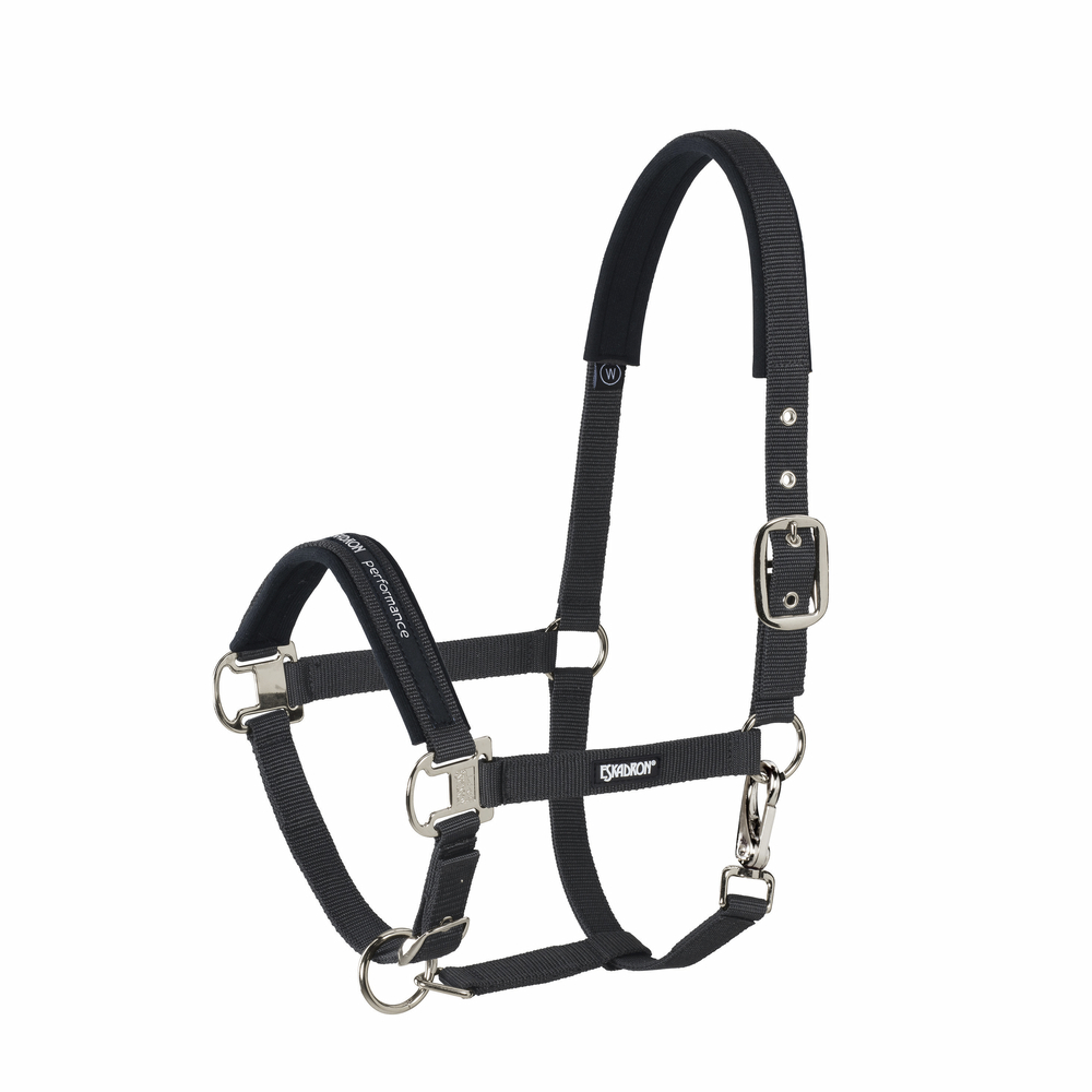 Eskadron Halfter Pin Buckle Basics