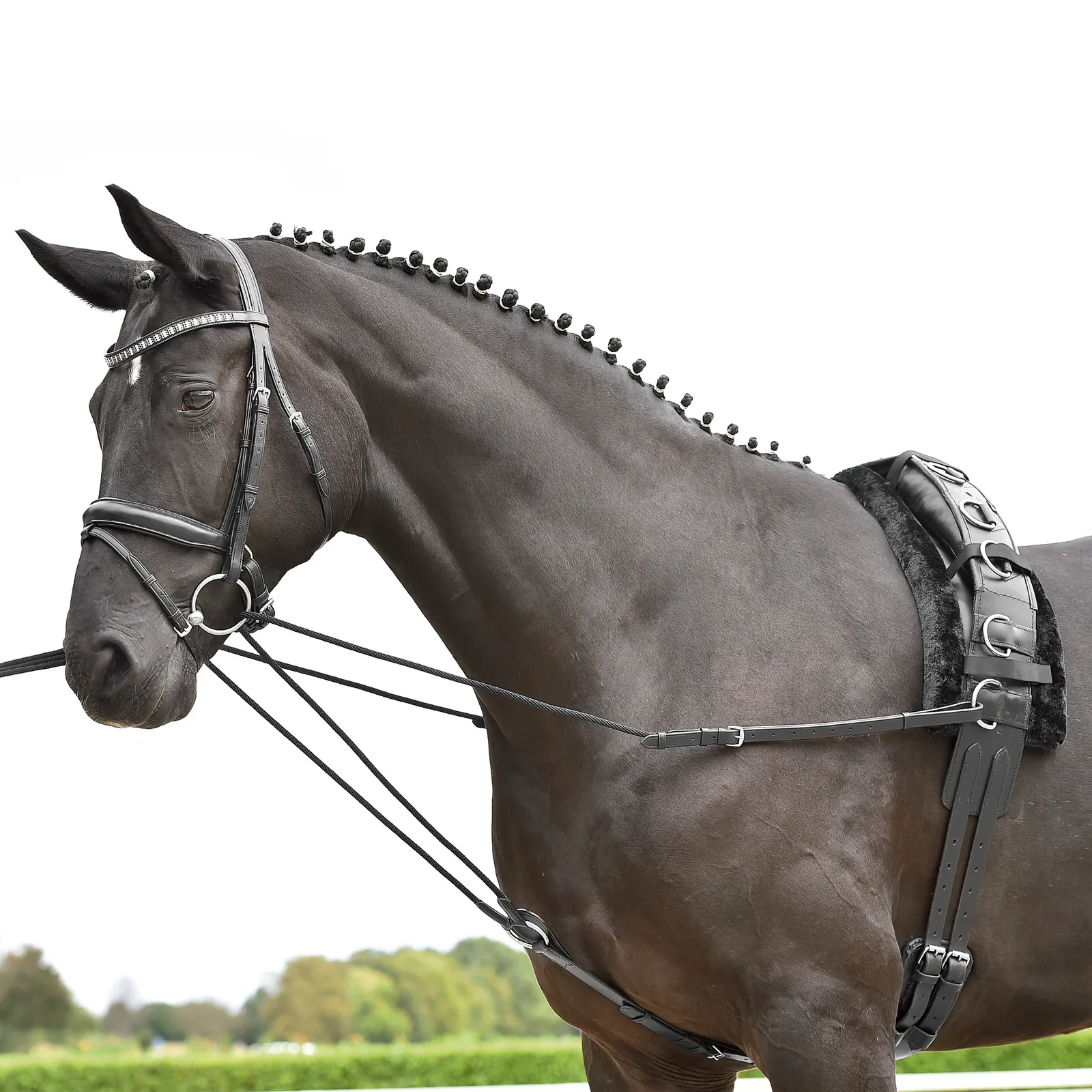 Busse Dreieckzügel Basic-Kordel schwarz