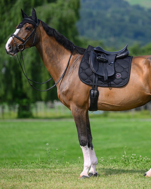 Tommy Hilfiger Equestrian Schabracke Emory