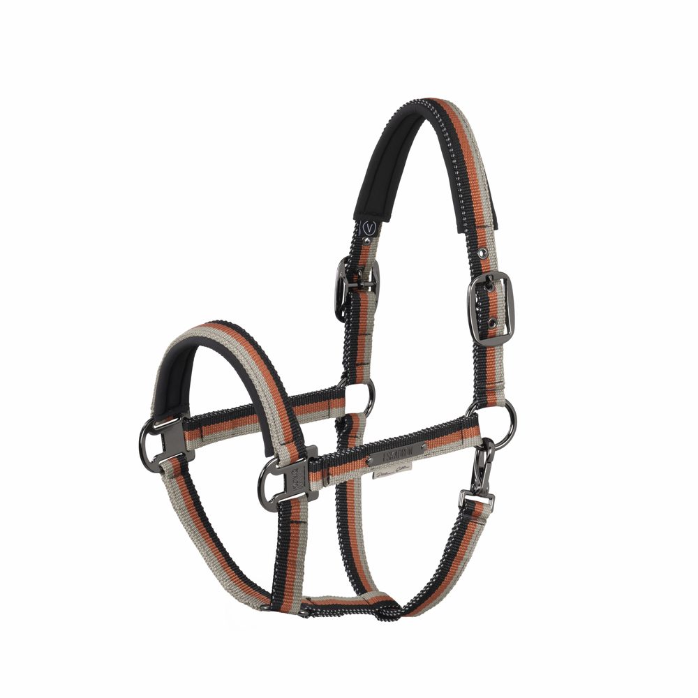 Eskadron Halfter Double Pin gestreift Platinum S26